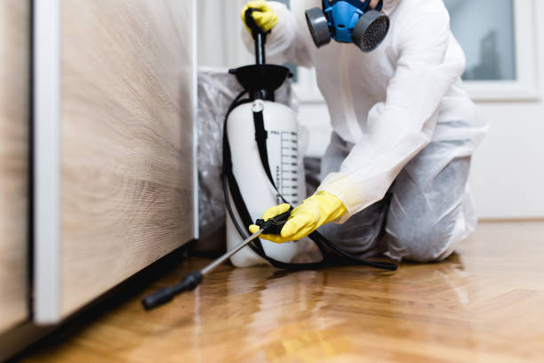 Best Pest Inspection Near Me  in Mills, WY