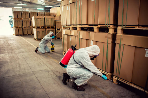 Best Termite Control Services  in Mills, WY