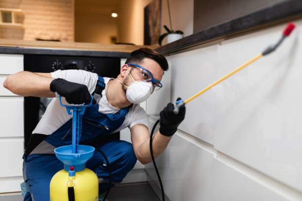 Best Pest Control Near Me in Mills, WY