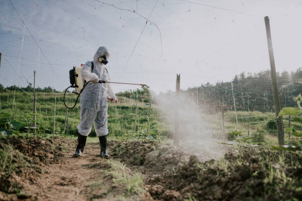 Best Mosquito Control Services  in Mills, WY