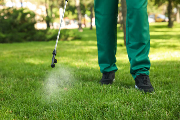 Best Local Pest Control Services  in Mills, WY