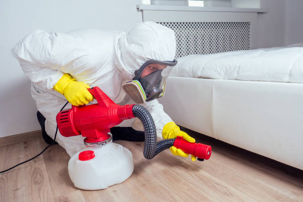 Reliable Mills, WY Pest Control Solutions