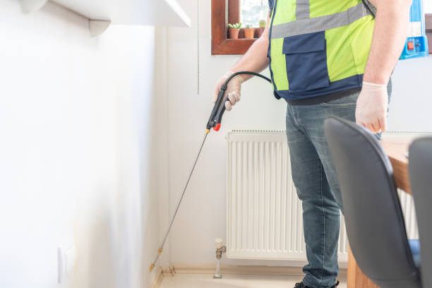Best Wasp Removal Services  in Mills, WY