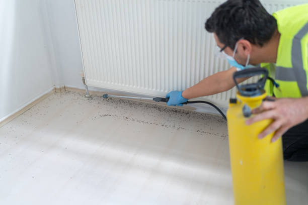 Best Flea Control Services  in Mills, WY